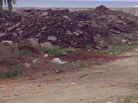 ZONGULDAK - FİLYOS  SAHİLİ  SİT ALANLARI  VE  KIYI EKOSİSTEMİ  TEHLİKE ALTINDA!