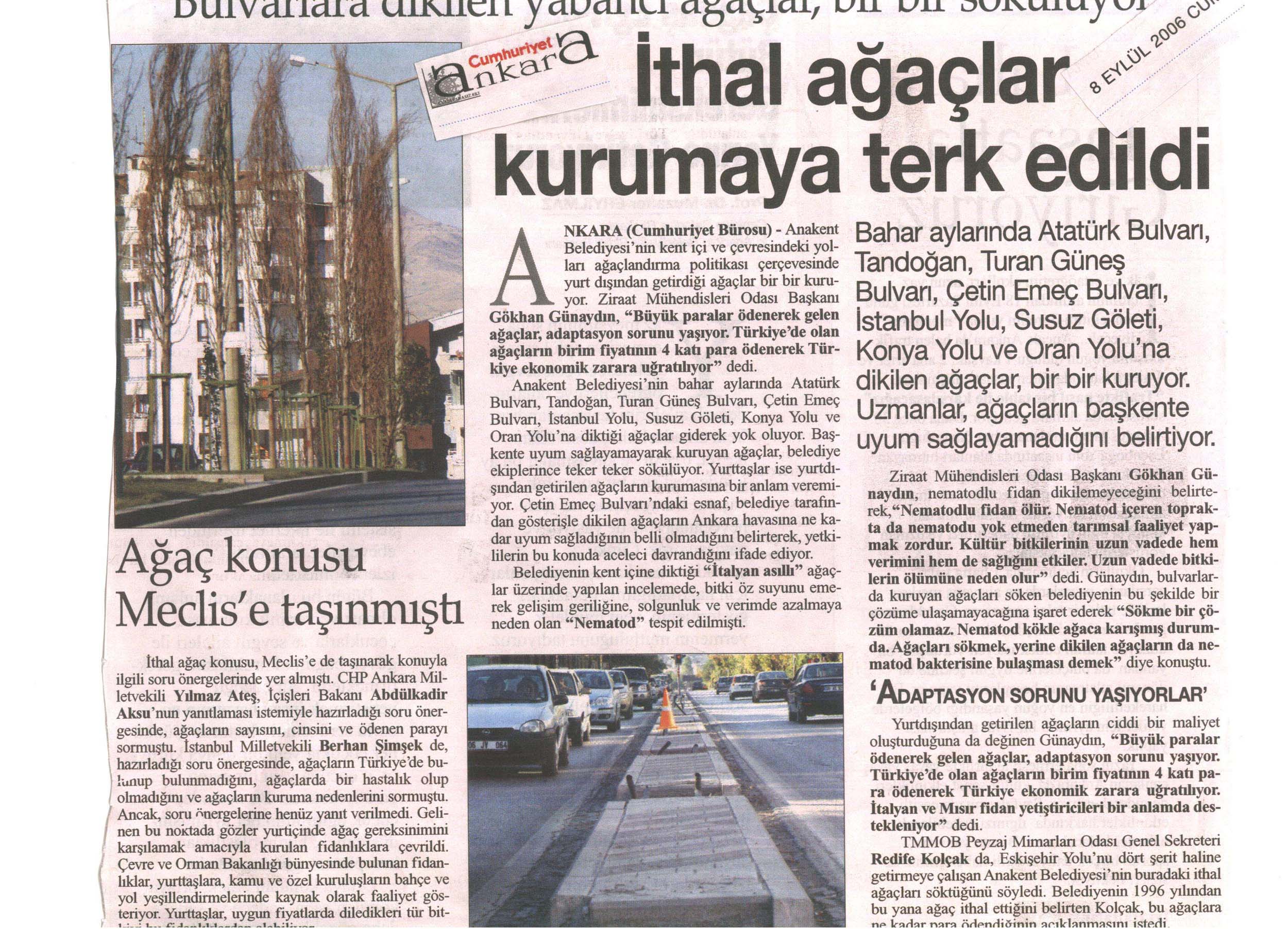 İTHAL AĞAÇLAR KURUMAYA TERK EDİLDİ.
CUMHURİYET ANKARA - 08.09.2006
