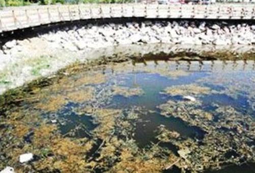 MOGAN GÖLÜ'NDE YAŞAM BİTİYOR!