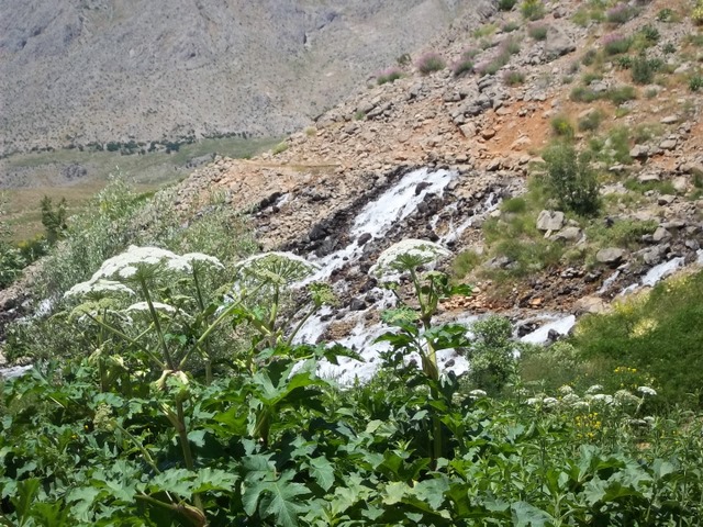 TUNCELİ YAZ OKULU TAMAMLANDI