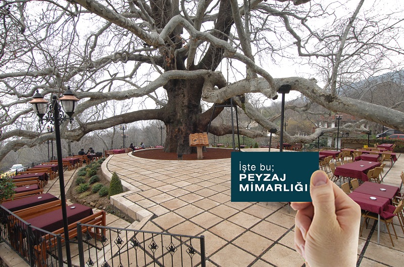 DÜNYA PEYZAJ MİMARLIĞI AYIMIZ KUTLU OLSUN! #WLAM2018