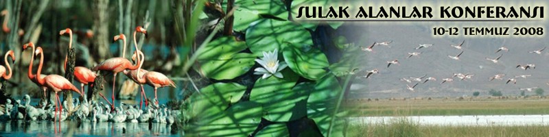 SULAK ALANLAR KONFERANSI, 10-12 TEMMUZ 2008