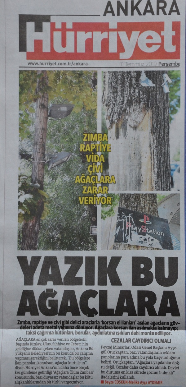 YAZIK BU AĞAÇLARA 11.07.2019 / HÜRRİYET ANKARA