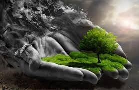 BASIN AÇIKLAMASI: 5 HAZİRAN DÜNYA ÇEVRE GÜNÜ DOLAYISI İLE PEYZAJ MİMARLARINDAN TESPİT VE ÖNERİLER